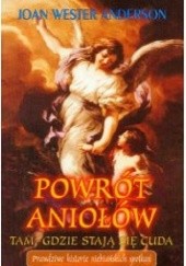 Okładka książki Powrót aniołów. Tam, gdzie stają się cuda. Prawdziwe historie niebiańskich spotkań Joan Wester Anderson