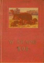Okładka książki W krainie Kôr