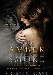 Okładka książki Amber Smoke Kristin Cast