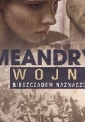 Okładka książki Meandry wojny Bieszczadem naznaczone Krzysztof Jan Drozdowski