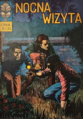 Okładka książki Nocna wizyta Władysław Krupka, Bogusław Polch