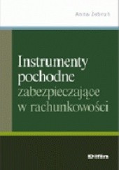 Okładka książki Instrumenty pochodne zabezpieczające w rachunkowości Anna Żebruń