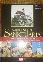 Okładka książki Najpiękniejsze Sanktuaria. Europa Środkowa. Tom X. Piotr Żak