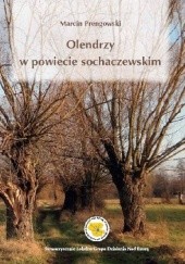 Okładka książki Olendrzy w powiecie sochaczewskim Marcin Prengowski