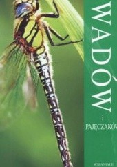 Kieszonkowy atlas owadów i pajęczaków
