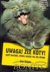 Uwaga! Złe koty! czyli kociaki, które zeszły na złą drogę