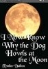 Okładka książki I Now Know Why the Dog Howls at the Moon Tymber Dalton