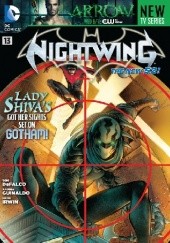Okładka książki Nightwing. The Hunter Tom DeFalco, Andres Guinaldo, Mark Irwin