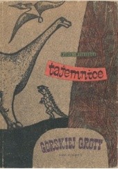 Okładka książki Tajemnice górskiej groty Marta Michalska