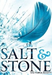 Okładka książki Salt &amp; Stone Victoria Scott