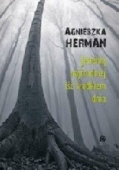 Okładka książki Jesienią najtrudniej iść środkiem dnia Agnieszka Herman