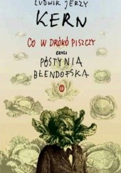 Okładka książki Co w drókó piszczy, czyli Póstynia Błendofska Ludwik Jerzy Kern