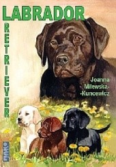 Okładka książki Labrador Retriver Joanna Milewska-Kuncewicz