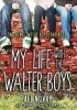 My Life With The Walter Boys