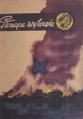 Okładka książki Płonące wybrzeże Tadeusz Sokół