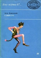 Okładka książki Labirynt Jerzy Kulczyński