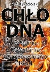 Okładka książki Chłodna w ogniu Powstania Warszawskiego 1944