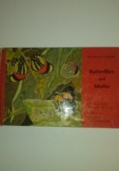 Okładka książki Butterflies and Moths Walter Robert Corti