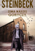 Zima naszej goryczy
