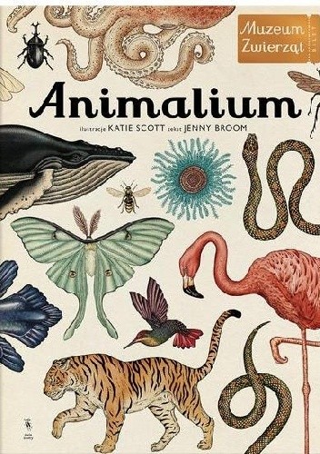 Okładka książki Animalium. Muzeum Zwierząt Jenny Broom, Katie Scott