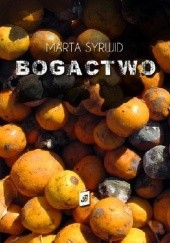 Okładka książki Bogactwo Marta Syrwid