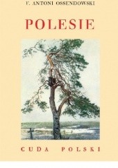 Okładka książki Polesie Antoni Ferdynand Ossendowski