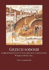 Okładka książki Grzech sodomii w przestrzeni politycznej, prawnej i społecznej Polski nowożytnej Piotr Lewandowski