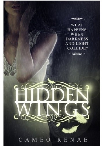 Okładki książek z cyklu Hidden Wings