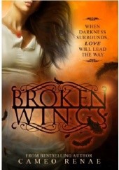 Okładka książki Broken Wings