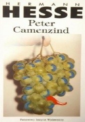 Okładka książki Peter Camenzind Hermann Hesse
