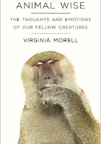 Okładka książki Animal Wise. The Thoughts and Emotions of our Fellow Creatures Virginia Morell