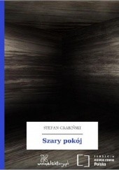 Okładka książki Szary pokój Stefan Grabiński