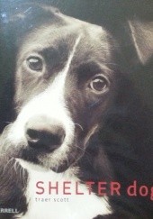 Okładka książki Shelter Dogs