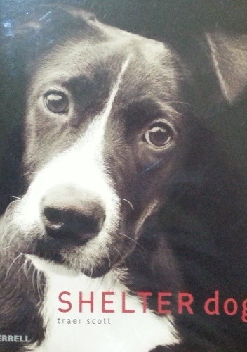 Okładka książki Shelter Dogs Traer Scott