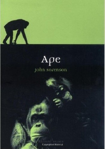 Okładka książki Ape John Sorenson