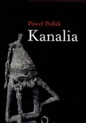 Okładka książki Kanalia Paweł Pollak