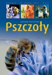 Okładka książki Pszczoły Jacek Nowak