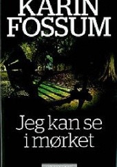 Okładka książki Jeg kan se i morket Karin Fossum