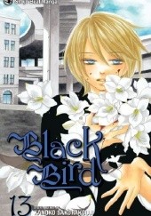 Okładka książki Black Bird, vol. 13 Kanoko Sakurakouji