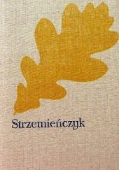 Okładka książki Strzemieńczyk: Czasy Władysława Warneńczyka Józef Ignacy Kraszewski