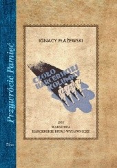 Okładka książki Czoło harcerskiej kolumny Ignacy Płażewski