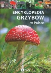 Okładka książki Encyklopedia grzybów w Polsce Malwina Flaczyńska, Wiesław Kamiński