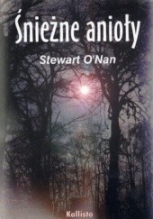 Okładka książki Śnieżne Anioły Stewart O'Nan