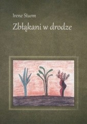 Okładka książki Zbłąkani w drodze Irene Sturm