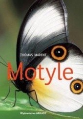 Okładka książki Motyle Thomas Marent