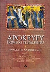 Okładka książki Apokryfy Nowego Testamentu. Ewangelie Apokryficzne, tom 1, część 1