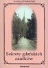 Okładka książki Sekrety gdańskich zaułków Andrzej Dudziński