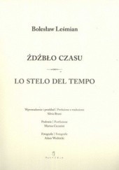 Okładka książki Źdźbło czasu Bolesław Leśmian