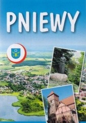 Okładka książki Pniewy. Plan miasta i gminy. 1:10000 BIK 