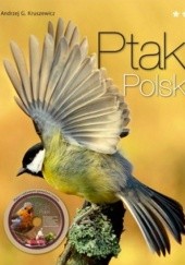 Okładka książki Ptaki Polski. Tom 2 + CD Andrzej G. Kruszewicz